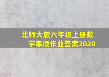 北师大版六年级上册数学寒假作业答案2020