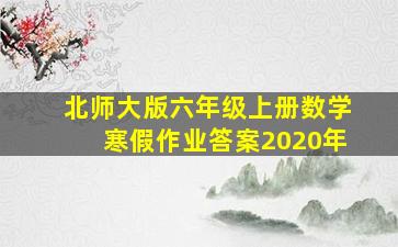 北师大版六年级上册数学寒假作业答案2020年