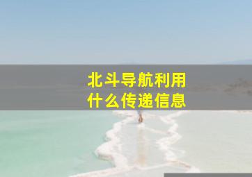 北斗导航利用什么传递信息