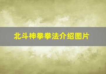 北斗神拳拳法介绍图片