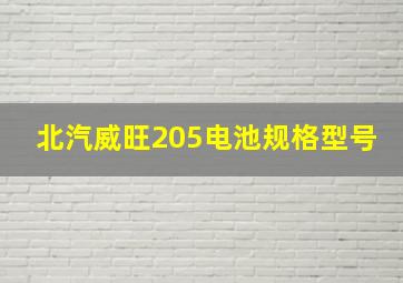 北汽威旺205电池规格型号