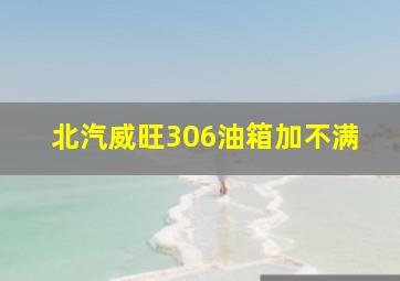 北汽威旺306油箱加不满