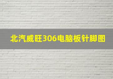 北汽威旺306电脑板针脚图