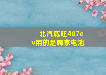 北汽威旺407ev用的是哪家电池