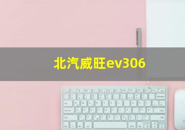 北汽威旺ev306