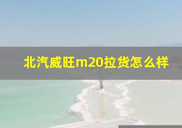 北汽威旺m20拉货怎么样