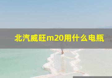 北汽威旺m20用什么电瓶