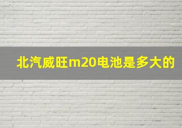 北汽威旺m20电池是多大的