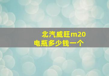 北汽威旺m20电瓶多少钱一个