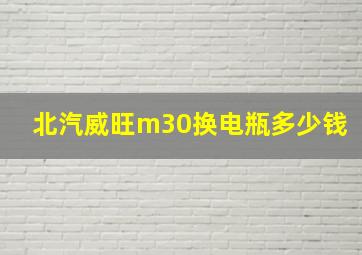 北汽威旺m30换电瓶多少钱