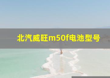 北汽威旺m50f电池型号