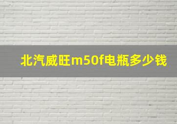 北汽威旺m50f电瓶多少钱