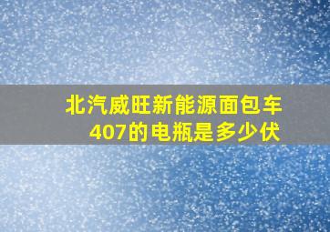 北汽威旺新能源面包车407的电瓶是多少伏