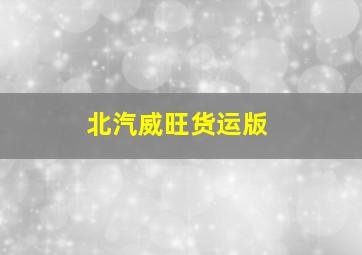 北汽威旺货运版