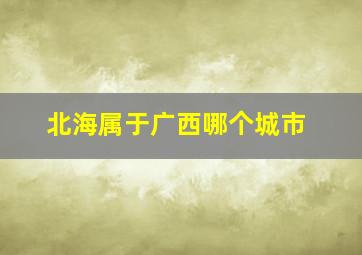 北海属于广西哪个城市