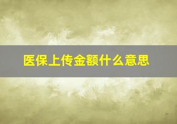 医保上传金额什么意思