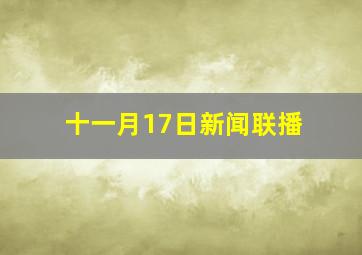 十一月17日新闻联播