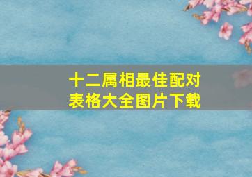 十二属相最佳配对表格大全图片下载