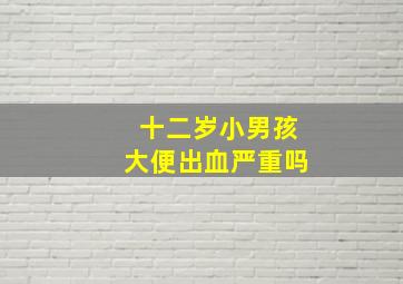 十二岁小男孩大便出血严重吗