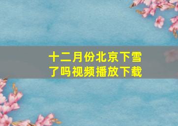 十二月份北京下雪了吗视频播放下载