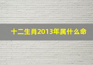 十二生肖2013年属什么命