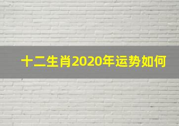 十二生肖2020年运势如何