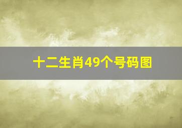 十二生肖49个号码图