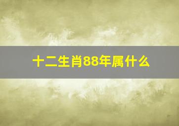 十二生肖88年属什么