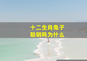 十二生肖兔子聪明吗为什么