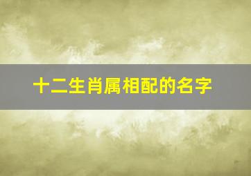 十二生肖属相配的名字