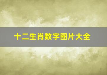 十二生肖数字图片大全