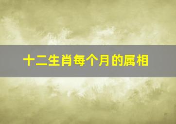 十二生肖每个月的属相