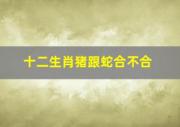 十二生肖猪跟蛇合不合