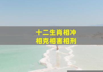 十二生肖相冲相克相害相刑