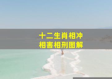 十二生肖相冲相害相刑图解