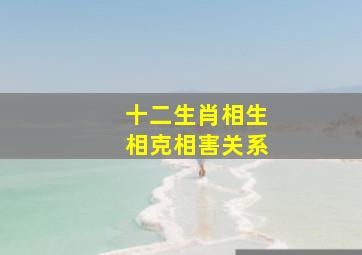 十二生肖相生相克相害关系