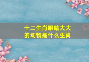 十二生肖眼睛大大的动物是什么生肖