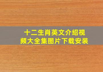 十二生肖英文介绍视频大全集图片下载安装