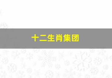 十二生肖集团