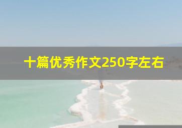 十篇优秀作文250字左右