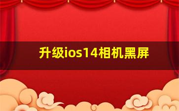 升级ios14相机黑屏