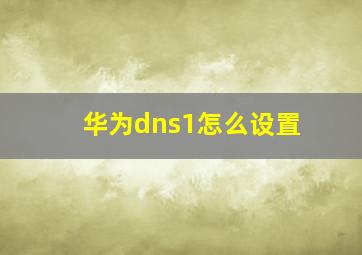 华为dns1怎么设置