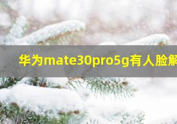 华为mate30pro5g有人脸解锁