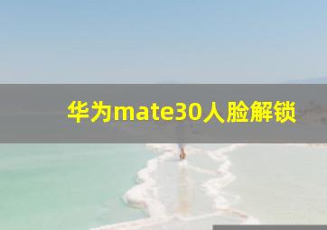 华为mate30人脸解锁