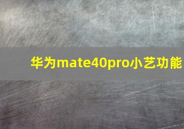 华为mate40pro小艺功能