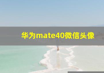 华为mate40微信头像