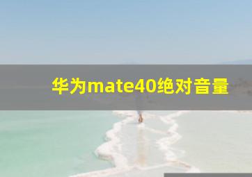 华为mate40绝对音量