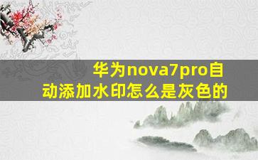 华为nova7pro自动添加水印怎么是灰色的