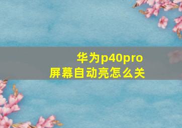 华为p40pro屏幕自动亮怎么关