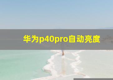 华为p40pro自动亮度